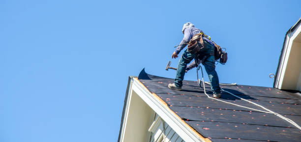 Roof Gutter Cleaning in Bonner Springs, KS